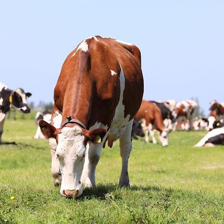 De Ouwe Meulen Villa Bleskensgraaf Buitenkant foto