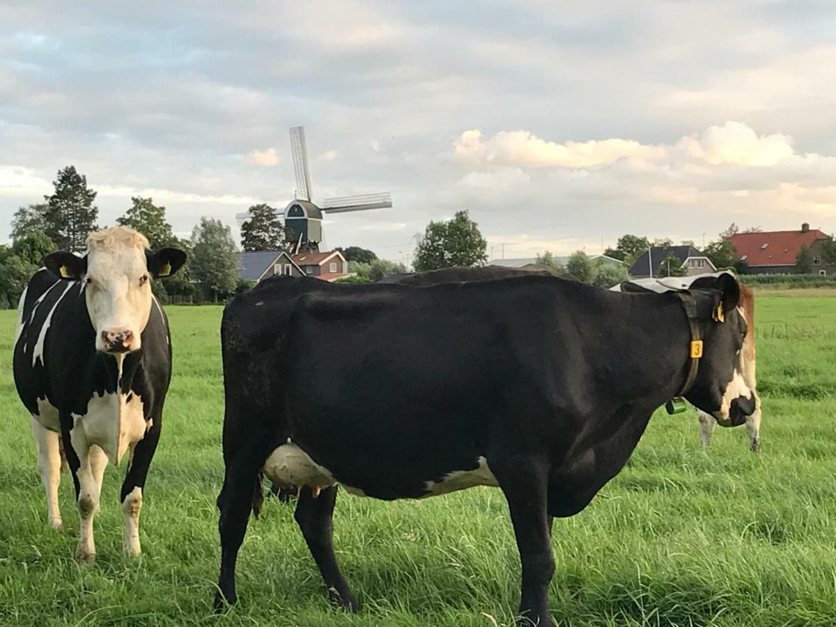 De Ouwe Meulen Villa Bleskensgraaf Buitenkant foto