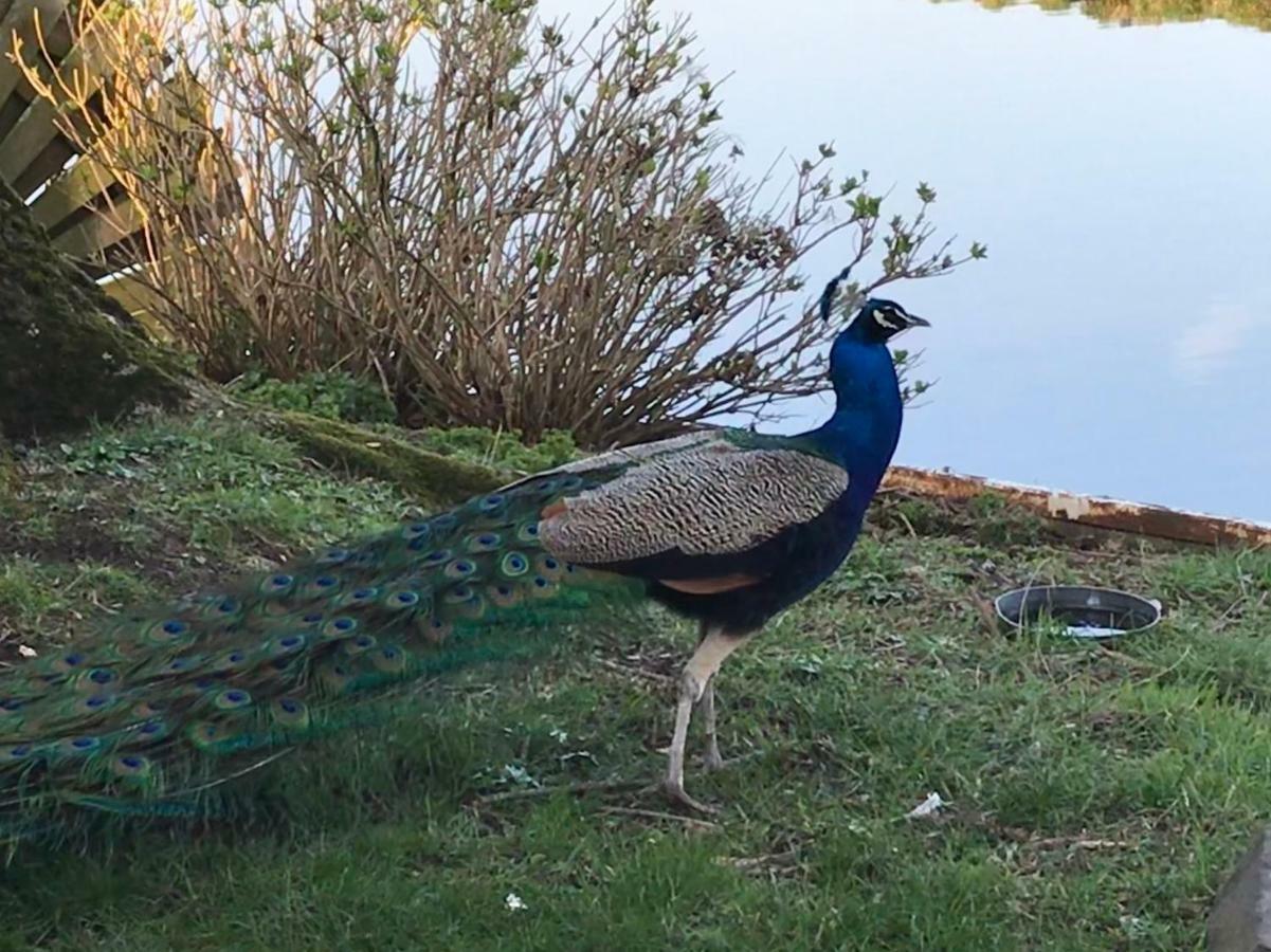 De Ouwe Meulen Villa Bleskensgraaf Buitenkant foto