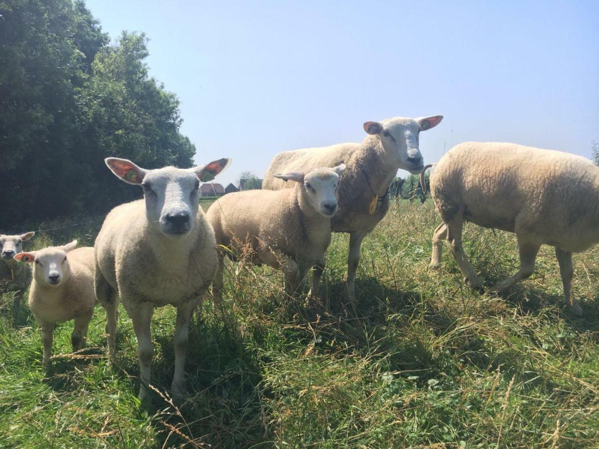 De Ouwe Meulen Villa Bleskensgraaf Buitenkant foto